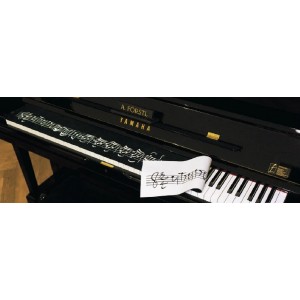 http://www.hoboenzo.nl/shop/2704-thickbox/toetsen-cover-piano-vleugel.jpg